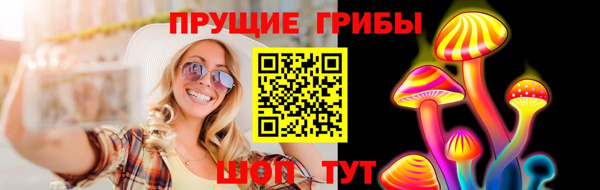 Галлюциногенные грибы Psilocybe  Вход с VPN  Верхний Уфалей 